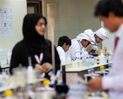 150 طالب إماراتي يتطلعون للفوز بجائزة معرض Google العالمي للعلوم